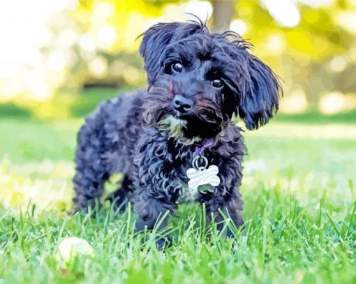 Black Yorkipoo Diamond Painting