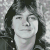 Black And White David Cassidy Diamond Painting