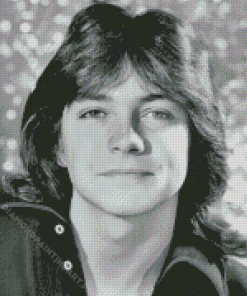 Black And White David Cassidy Diamond Painting