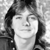 Black And White David Cassidy Diamond Painting