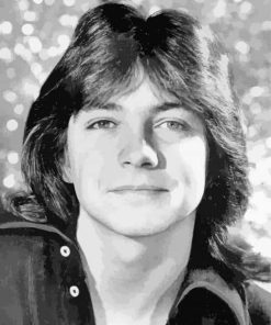 Black And White David Cassidy Diamond Painting