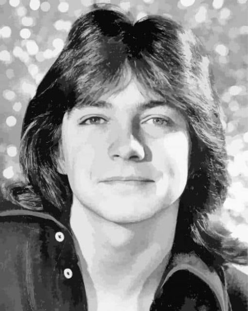 Black And White David Cassidy Diamond Painting