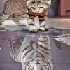 Black And White Kitten In Reflection Diamond Painting