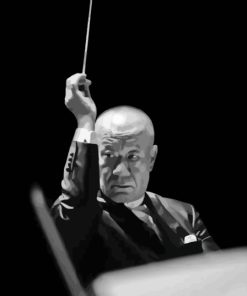 Black And White Joe Hisaishi Diamond Painting