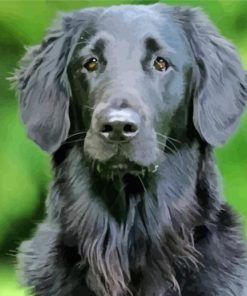 Black Golden Retriever Diamond Painting