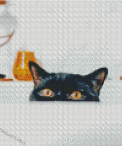 Cat Hiding In Shower Diamond Painting