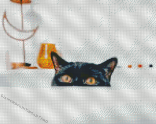 Cat Hiding In Shower Diamond Painting