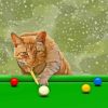 Cat Playing Snooker Diamond Painting