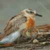 New Zealand Dotterel Diamond Painting