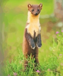 Pine Marten Diamond Painting