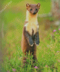 Pine Marten Diamond Painting