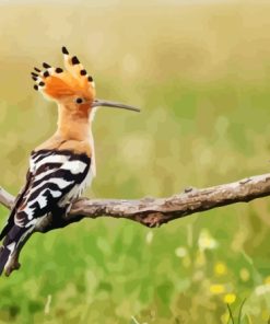 The Hoopoe Diamond Painting