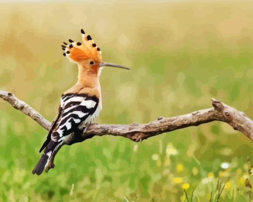 The Hoopoe Diamond Painting