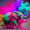 Rainbow Elephant Diamond Painting