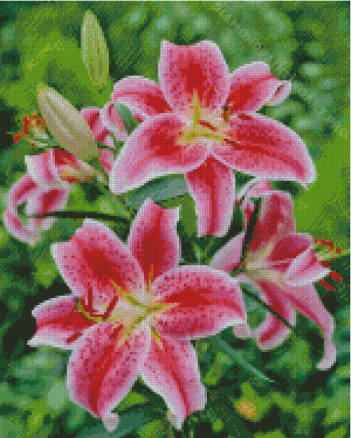 Stargazer Lily Diamond Painting