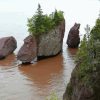 Hopewell Rocks Diamond Painting