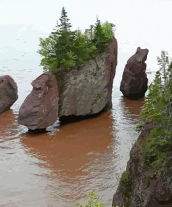 Hopewell Rocks Diamond Painting