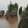 Hopewell Rocks Diamond Painting