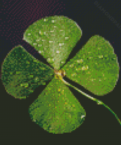 Lucky Diamond Painting