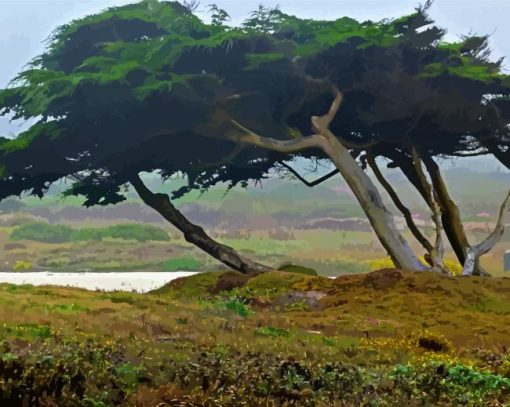 Monterey Trees Diamond Painting