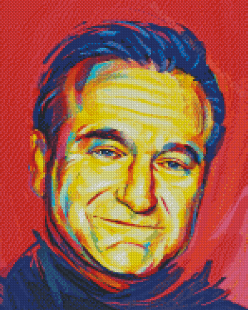 Robin Williams Art Diamond Painting