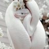 White Cute Snake Diamond Painting