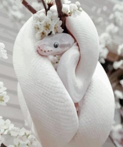 White Cute Snake Diamond Painting