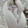 White Cute Snake Diamond Painting