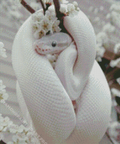 White Cute Snake Diamond Painting