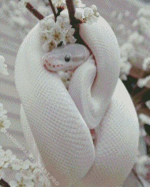 White Cute Snake Diamond Painting