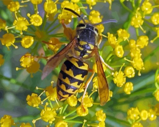 Yellowjacket On Yellow Flowers Diamond Painting