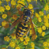 Yellowjacket On Yellow Flowers Diamond Painting