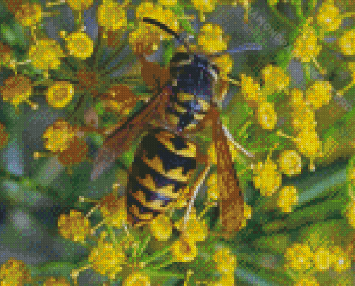 Yellowjacket On Yellow Flowers Diamond Painting