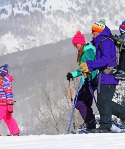 Aesthetic Family Skiing Diamond Painting