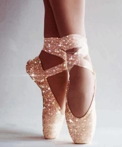 Aesthetic Ballet Shoes Diamond Painting