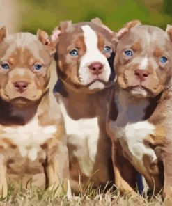 American Bully Puppies Diamond Painting