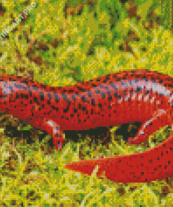 Black And Red Salamander Diamond Painting