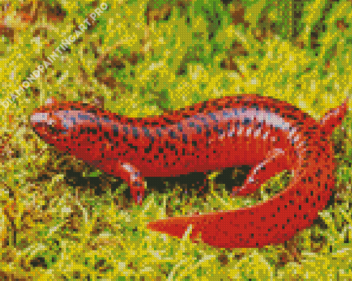 Black And Red Salamander Diamond Painting