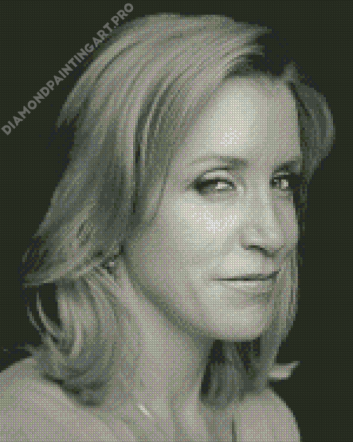 Black And White Felicity Huffman Diamond Painting