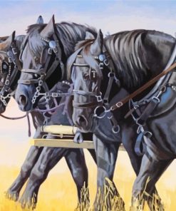 Black Percheron Horses Diamond Painting