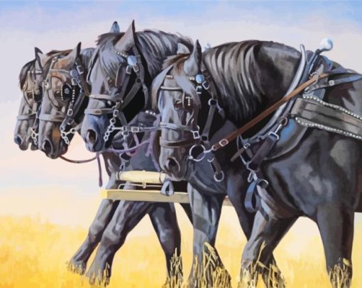 Black Percheron Horses Diamond Painting