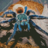 Blue And Brown Spider Diamond Painting