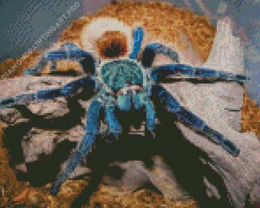 Blue And Brown Spider Diamond Painting