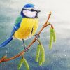 Blue Tit Bird Diamond Painting