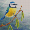 Blue Tit Bird Diamond Painting