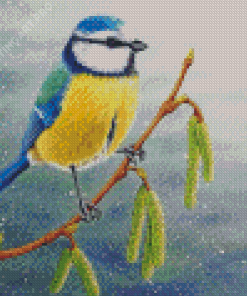 Blue Tit Bird Diamond Painting