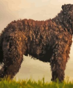 Bouvier Des Flandres At Sunset Diamond Painting