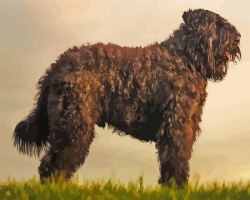 Bouvier Des Flandres At Sunset Diamond Painting