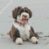 Brown And White Portuguese Water Dog At The Beach Diamond Painting