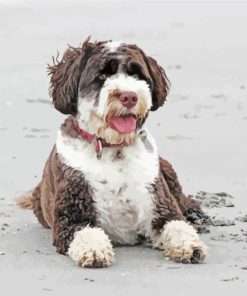 Brown And White Portuguese Water Dog At The Beach Diamond Painting